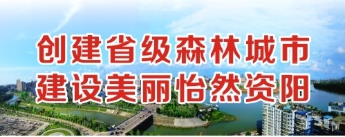 美女给我插的流水创建省级森林城市 建设美丽怡然资阳