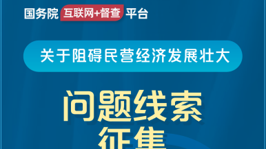 硬吊日本黑妞国务院“互联网+督查”平台公开征集阻碍民营经济发展壮大问题线索